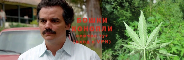 трава Зеленокумск
