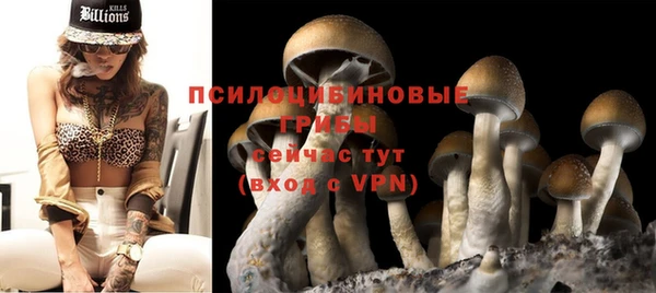 трава Зеленокумск