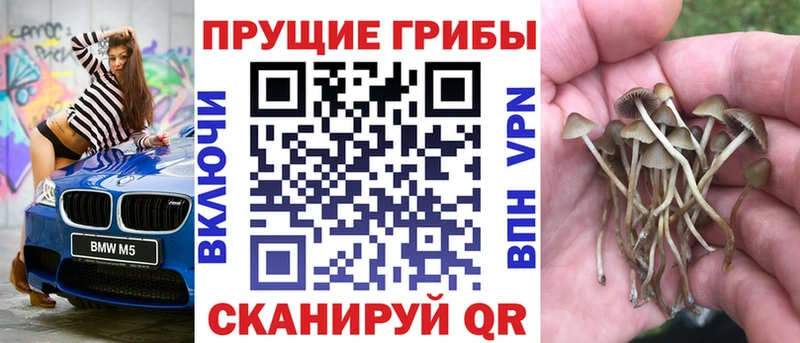 Галлюциногенные грибы Magic Shrooms  Купить где  Ревда 